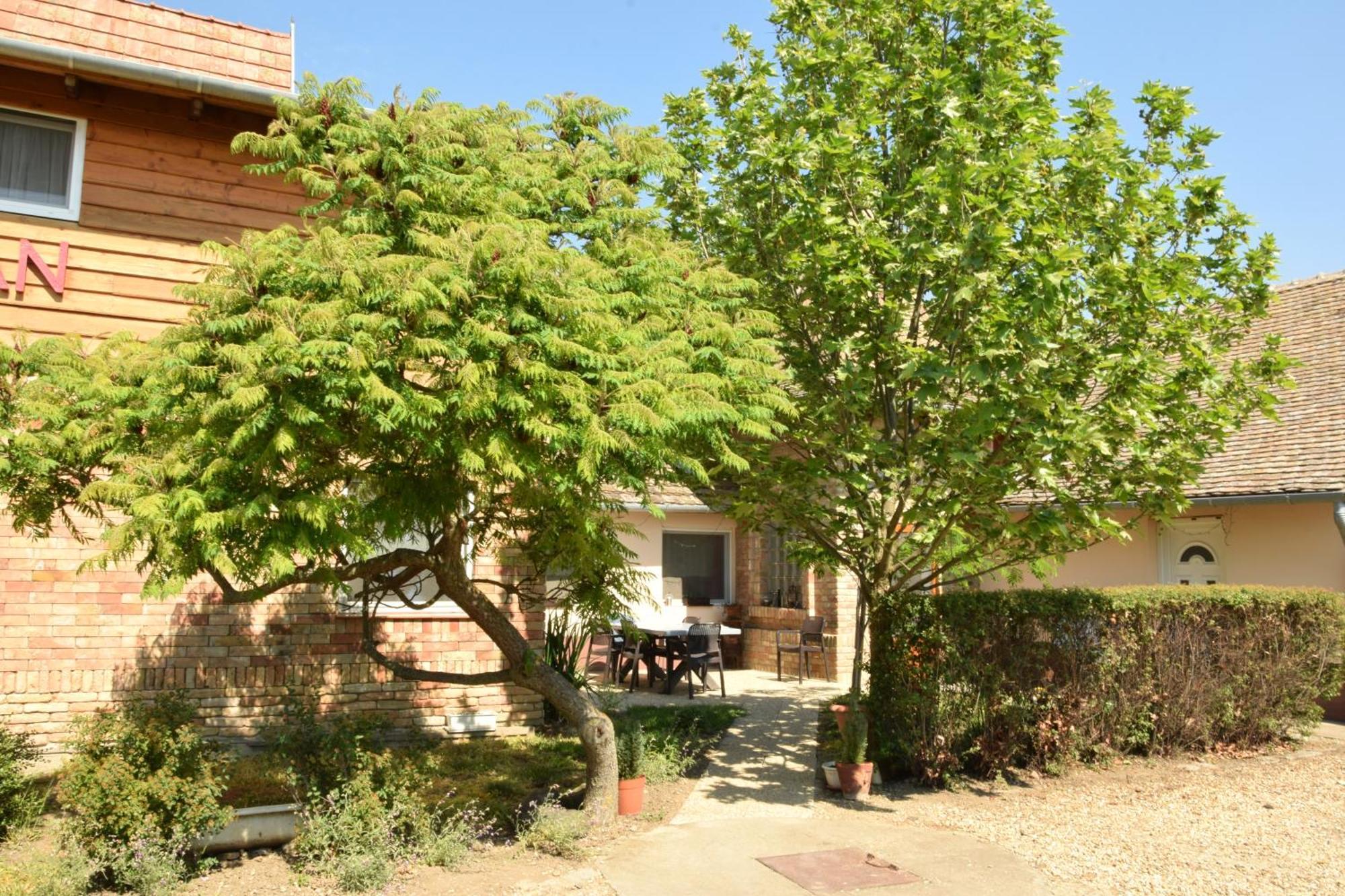 Ferienwohnung Anna Apartman Maroslele Exterior foto